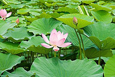 Xbox发布会：《永劫无间》6月22日登陆Xbox Series X|S和XGP